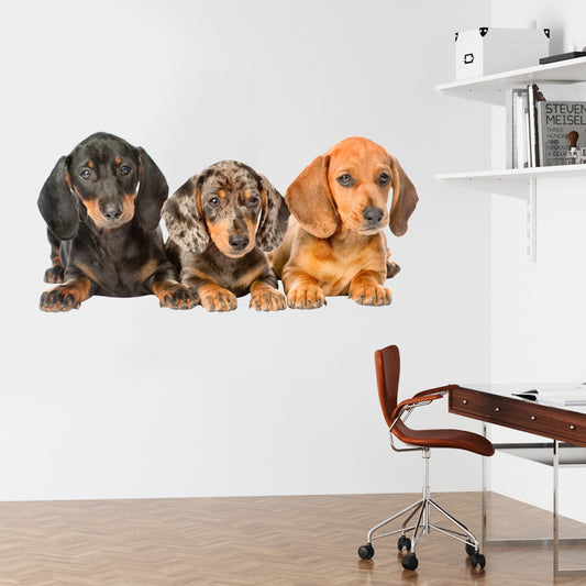 Dog Wall Sticker - 3 Dachshund Dogs Lay Down