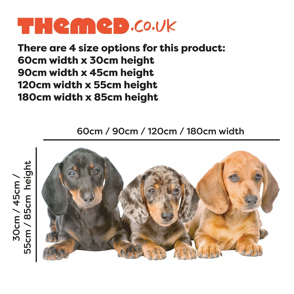 Dog Wall Sticker - 3 Dachshund Dogs Lay Down