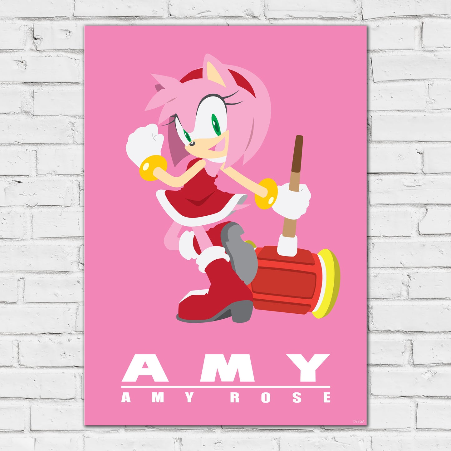 Sonic The Hedgehog Print - Amy Colour Block Poster Wall Art