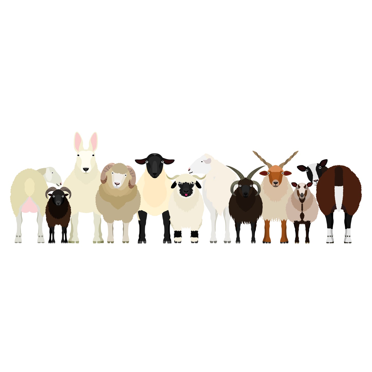 Animal Wall Sticker - Sheep In A Line Decal Wall Art