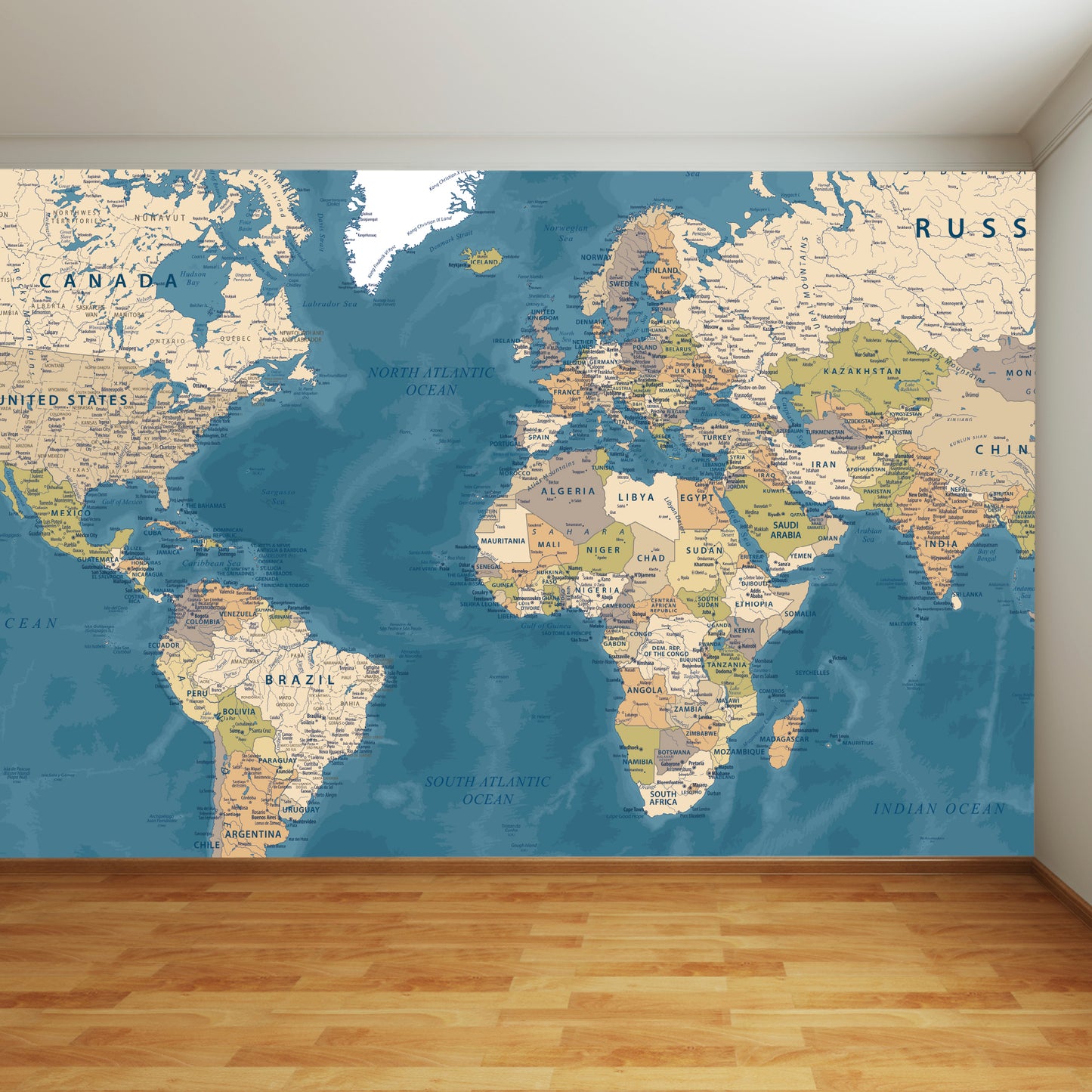 Detailed Map Full Wall Mural