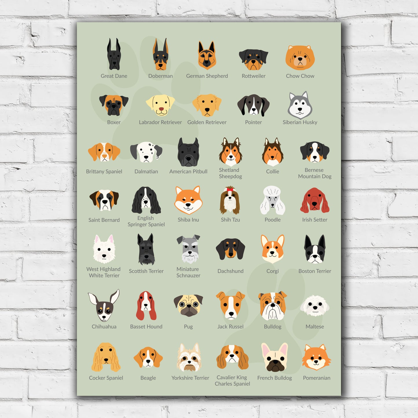 Dog Wall Print - Dog Breed Poster Wall Art