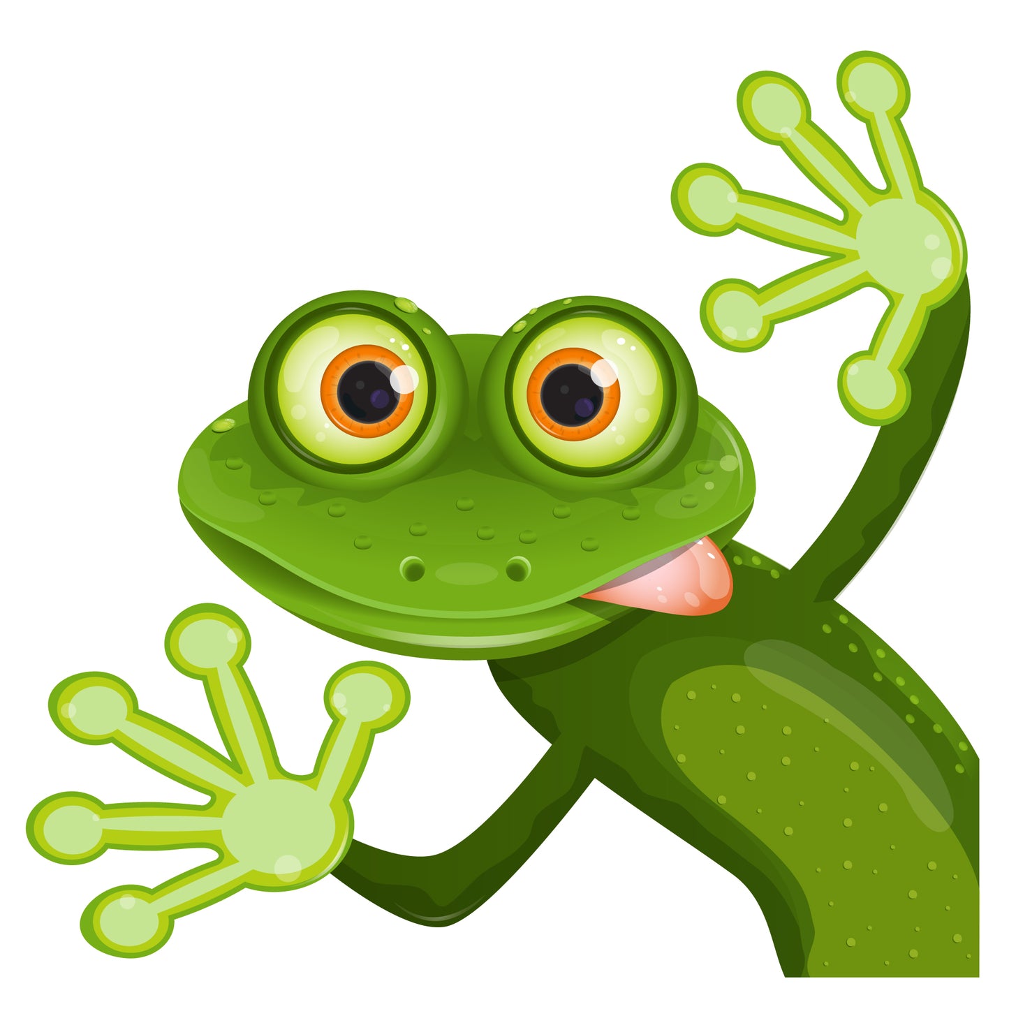 Bathroom Wall Sticker - Frog Decal Wall Art