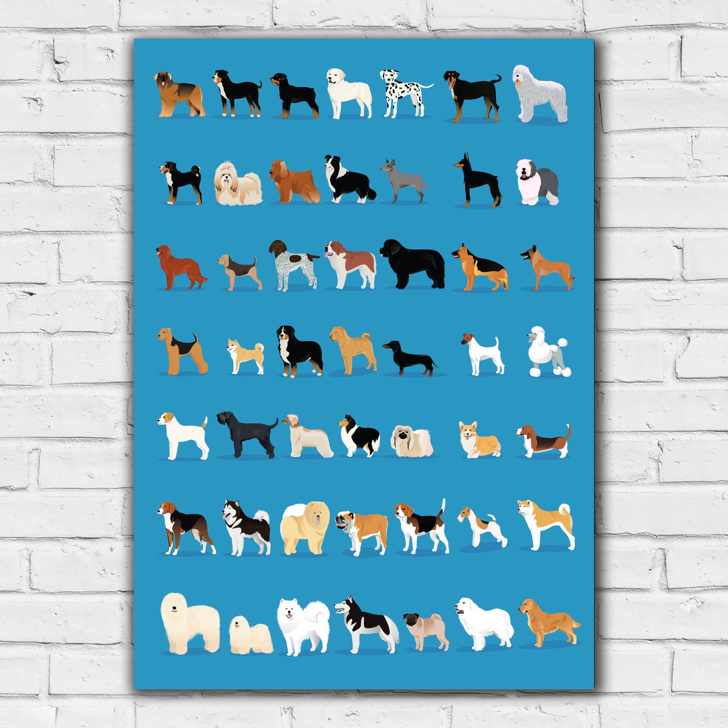 Dog Wall Print - Group of Dogs Poster Wall Art