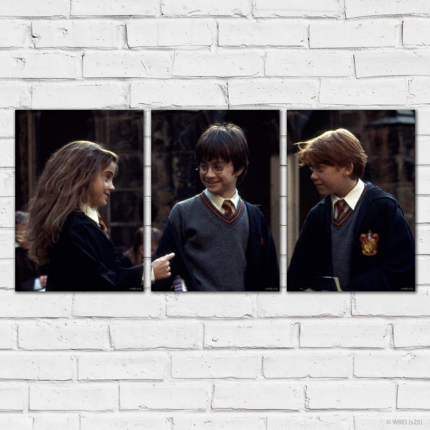 HARRY POTTER Print – 1st Year Trio - Set Of 3 Posters