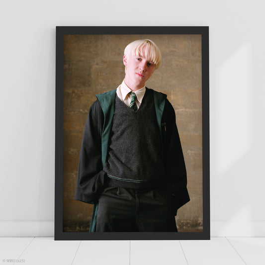 HARRY POTTER Print – Draco Portrait Poster Wall Art