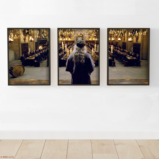 HARRY POTTER Print – Dumbledore Great Hall - Set Of 3 Posters