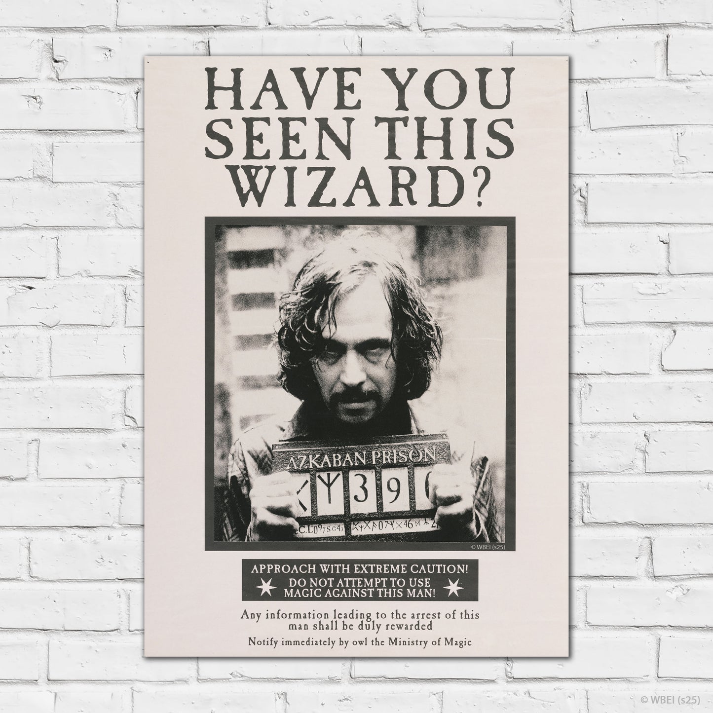 HARRY POTTER Print – Have You Seen This Wizard Sirius Black Poster Wall Art