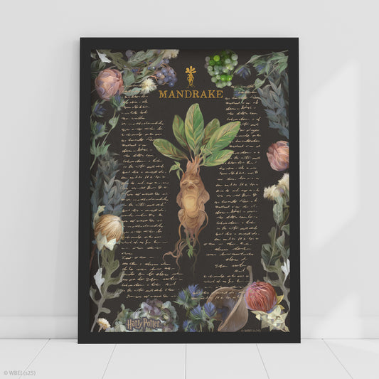 HARRY POTTER Print – Mandrake Yume Fantasy Poster Wall Art
