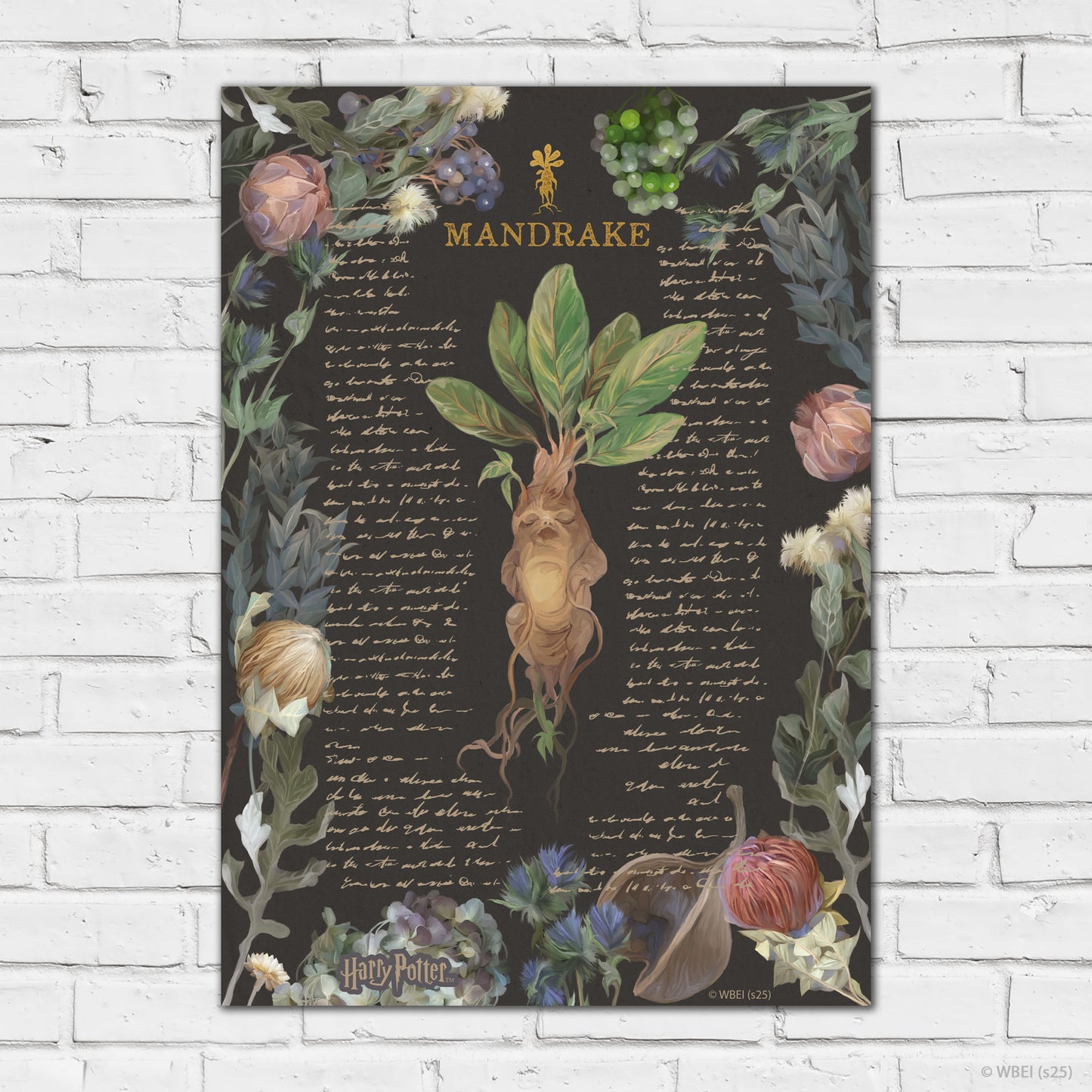 HARRY POTTER Print – Mandrake Yume Fantasy Poster Wall Art