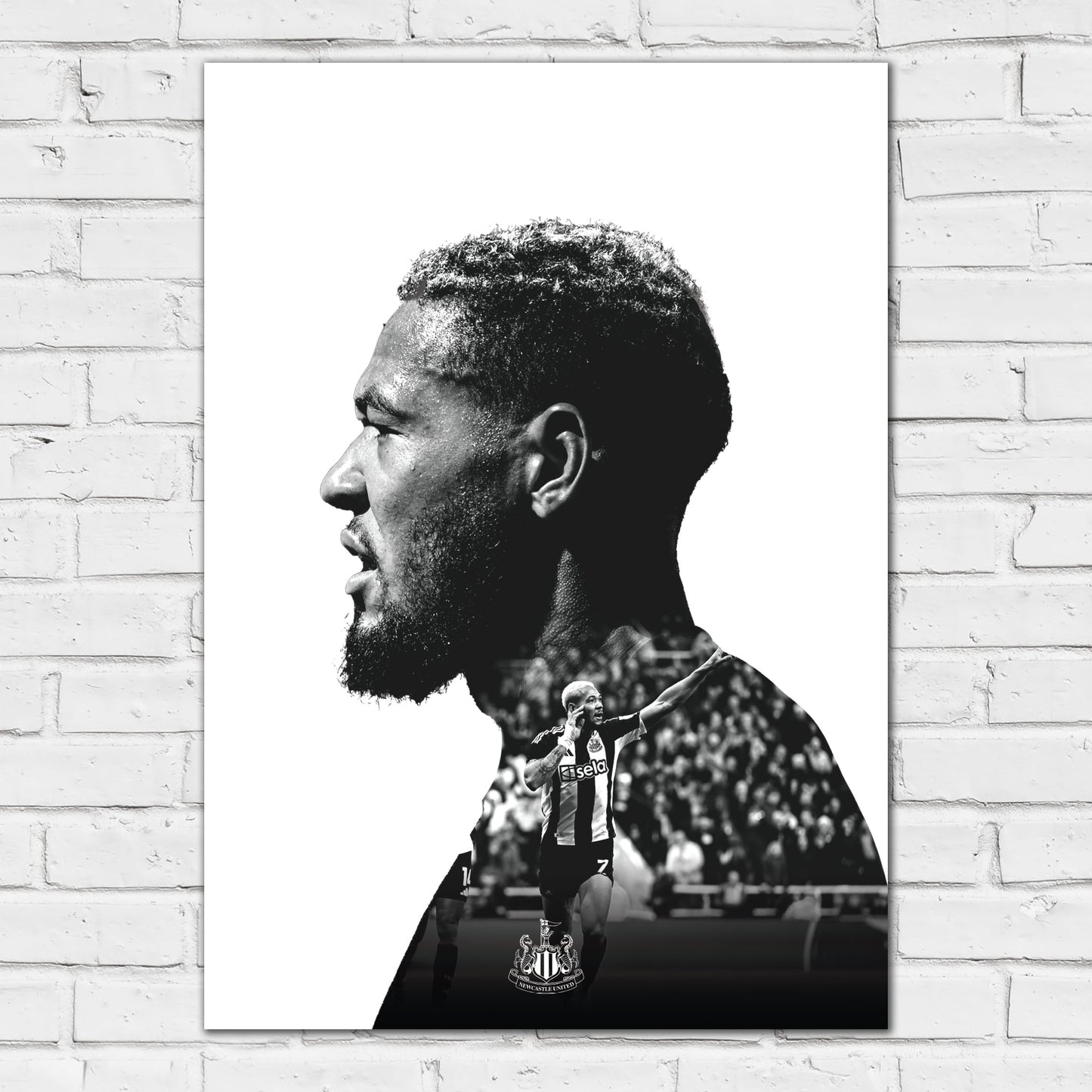 Newcastle United Joelinton Black and White Portrait Print
