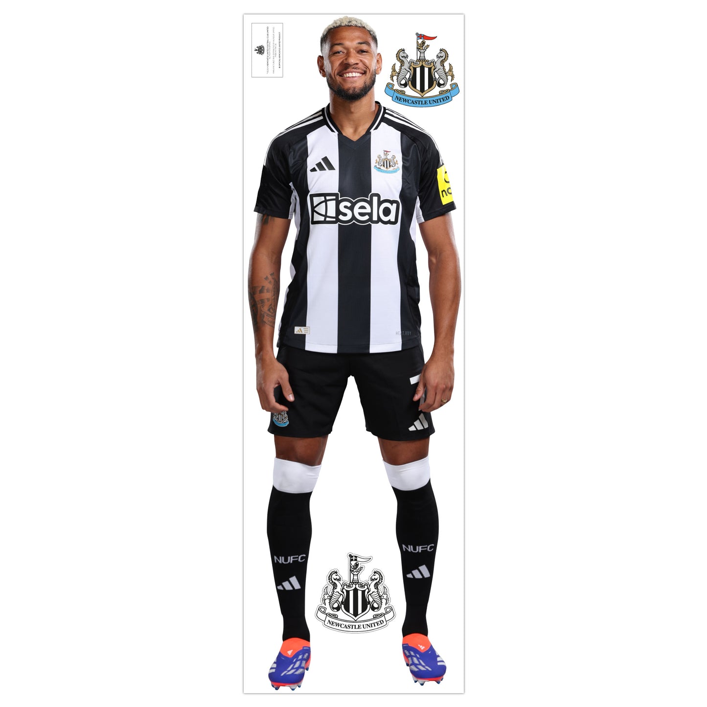 Newcastle United Wall Sticker - Joelinton Player Wall Decal Football Art