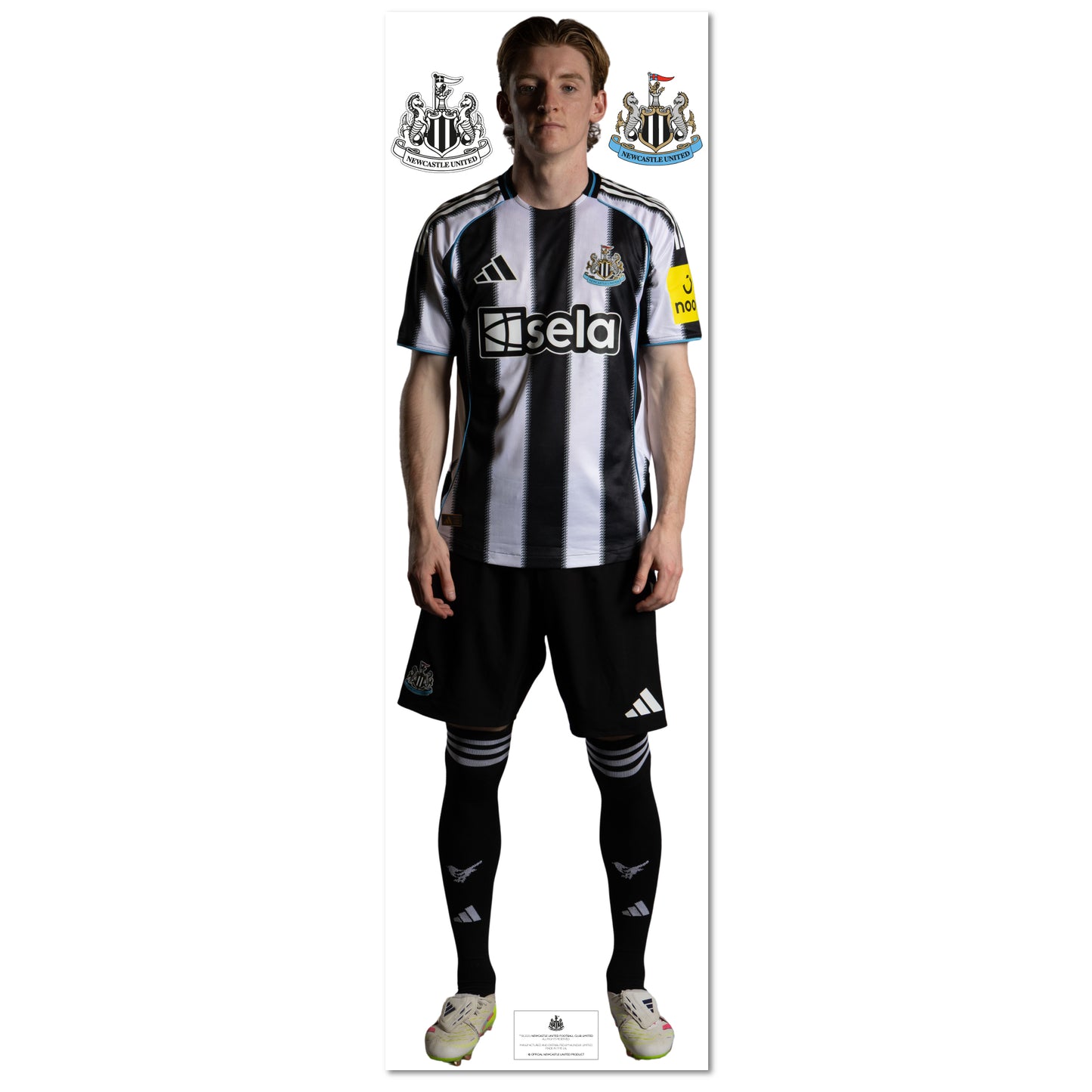Newcastle United Wall Sticker - Gordon Player 25-26 Wall Decal Football Art