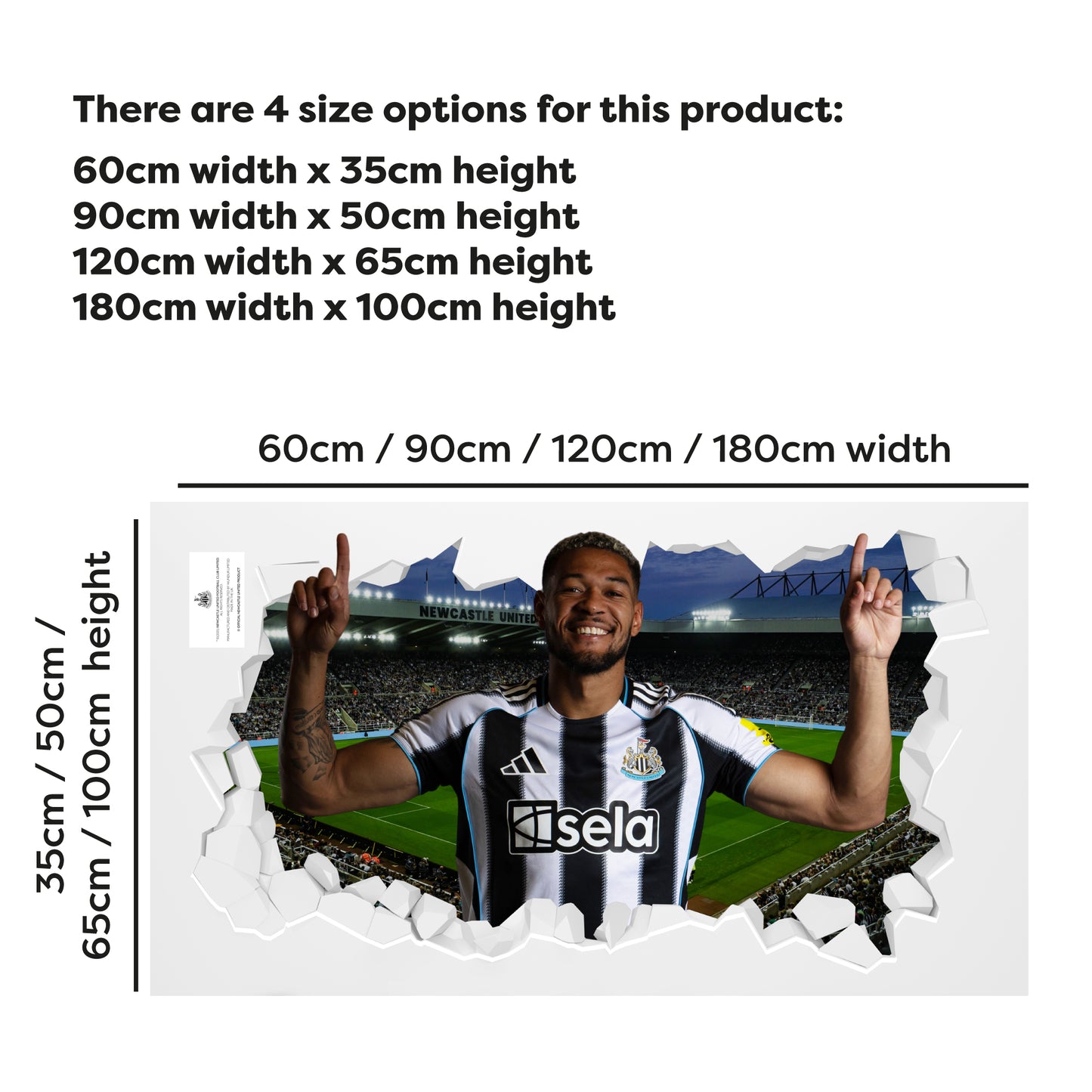 Newcastle United Football Club - Joelinton 25/26 Broken Wall