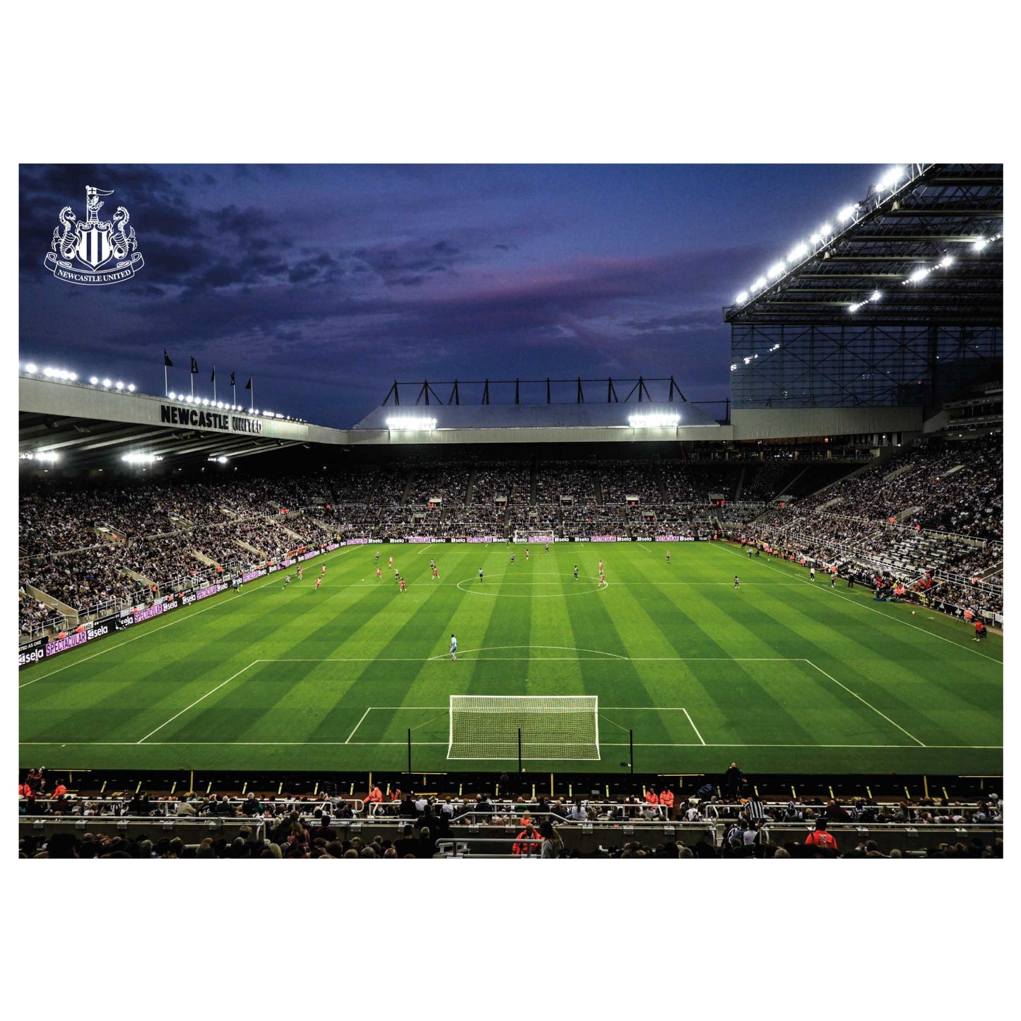 Newcastle United FC Print - Night Time Game Poster Football Wall Art