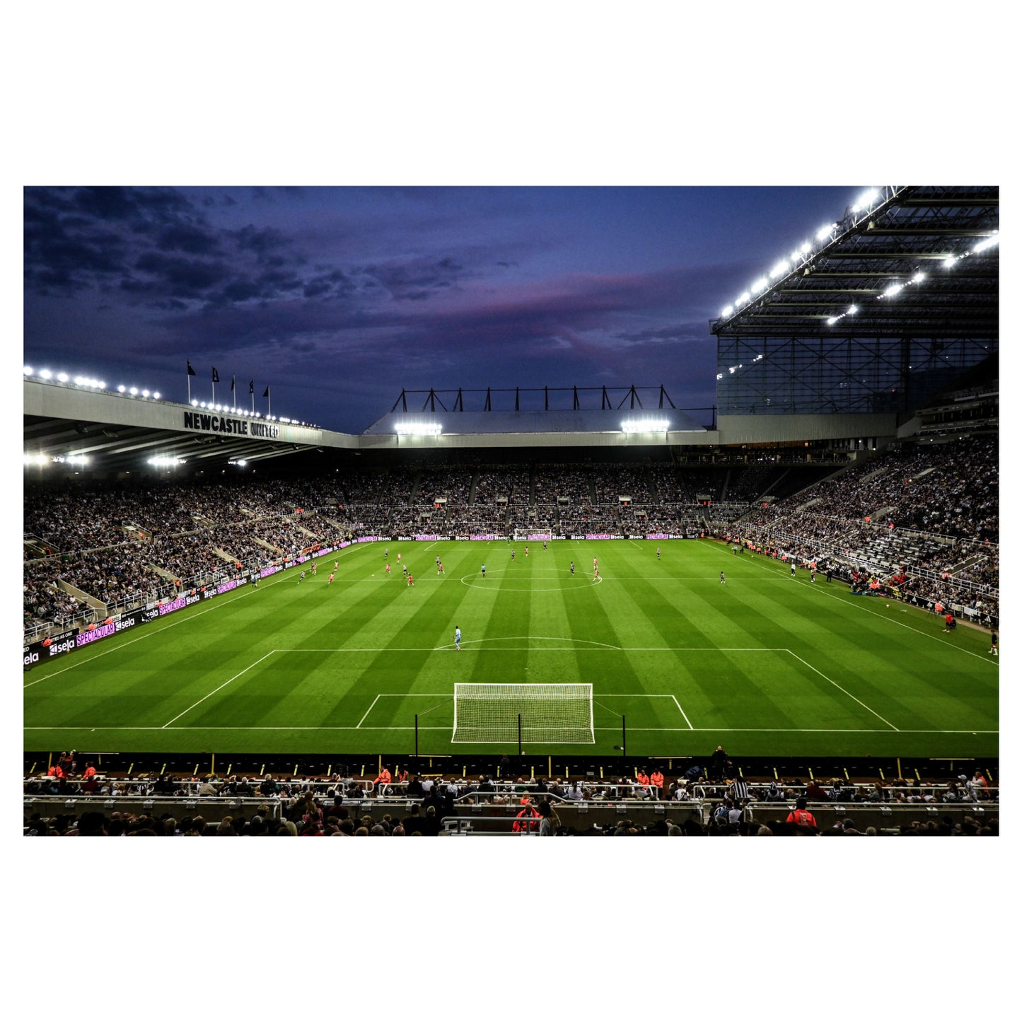 Newcastle United Football Club - Stadium Night Time Game Full Wall Mural