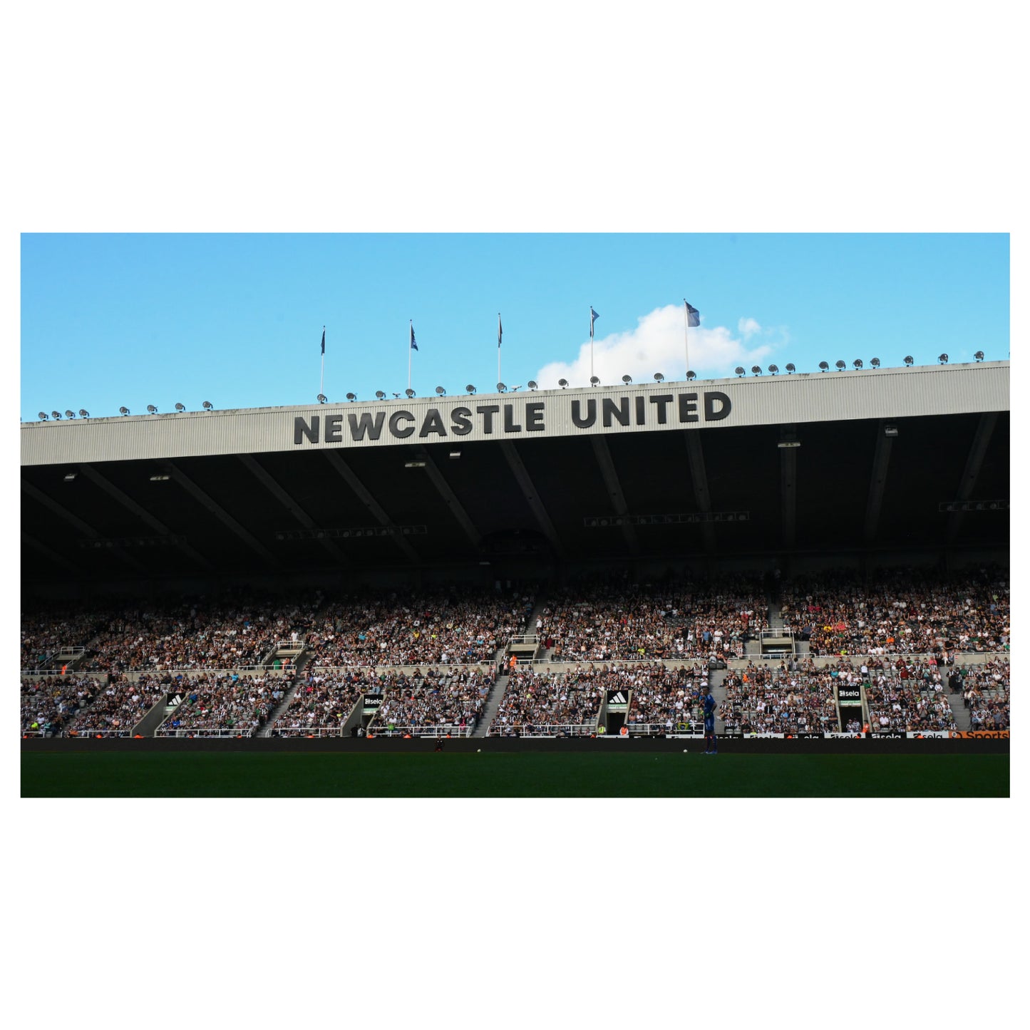 Newcastle United Football Club - Stadium Stand with Crowd Full Wall Mural