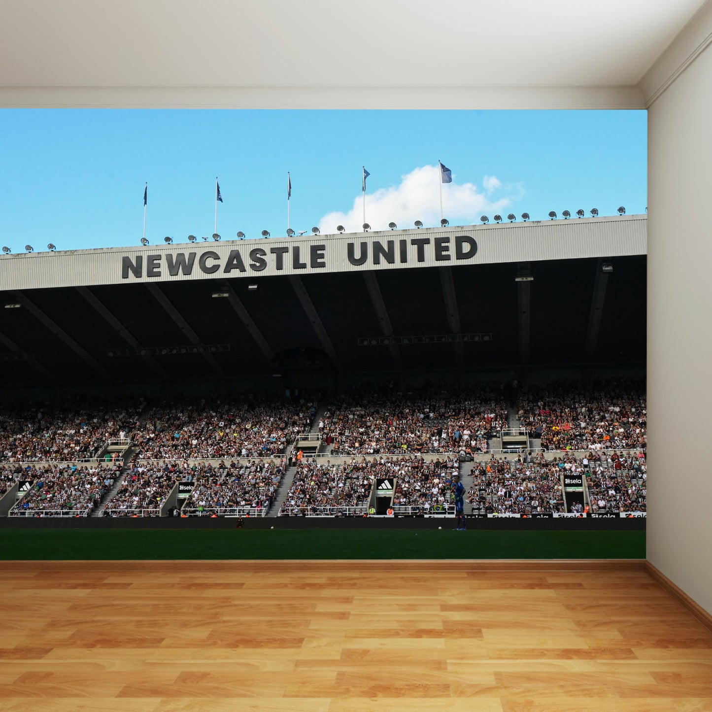 Newcastle United Football Club - Stadium Stand with Crowd Full Wall Mural