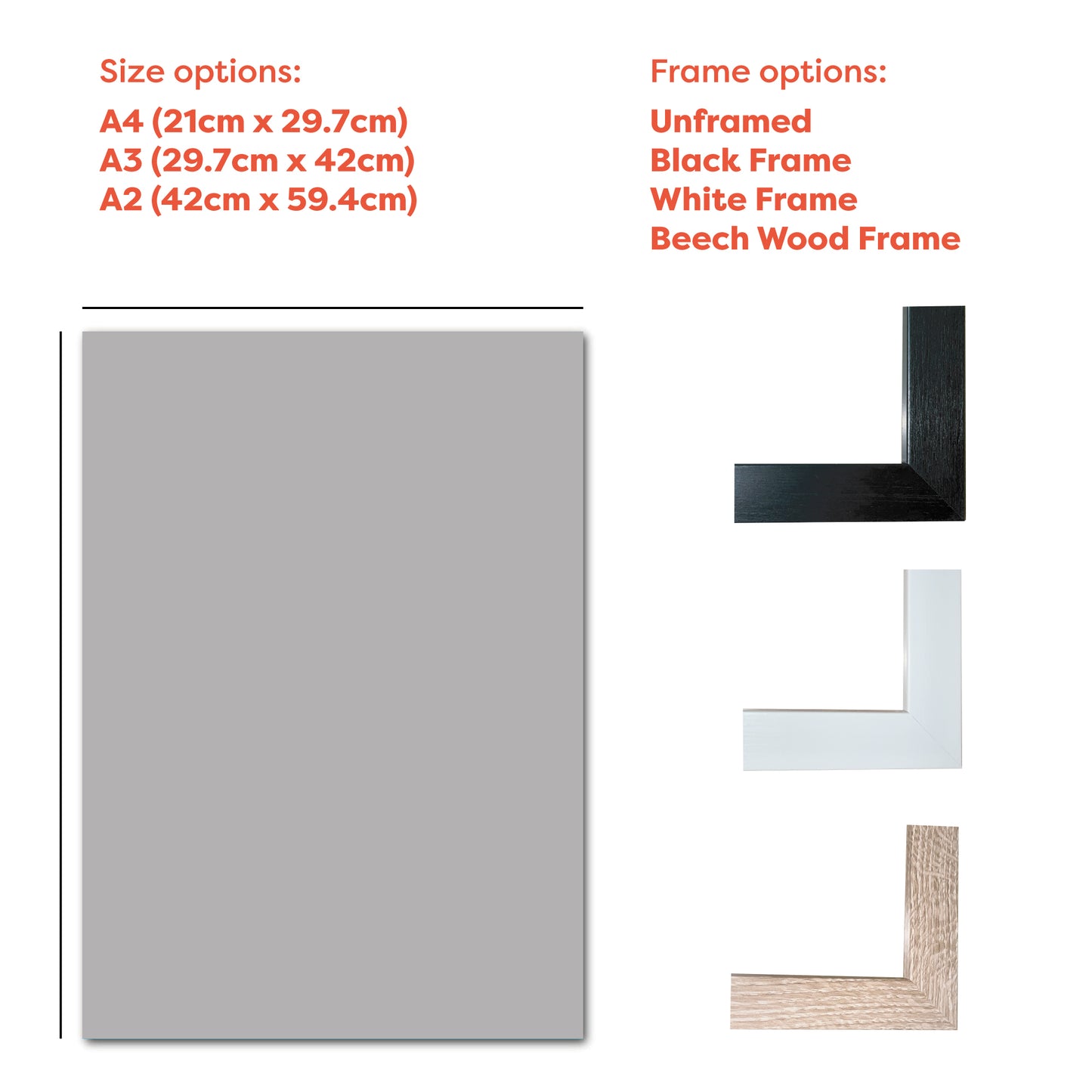 Argentina Football - AFA Poster Crest Dark Blue Background Print