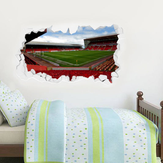 Aberdeen Football Club - Smashed Pittodrie Stadium Wall Sticker