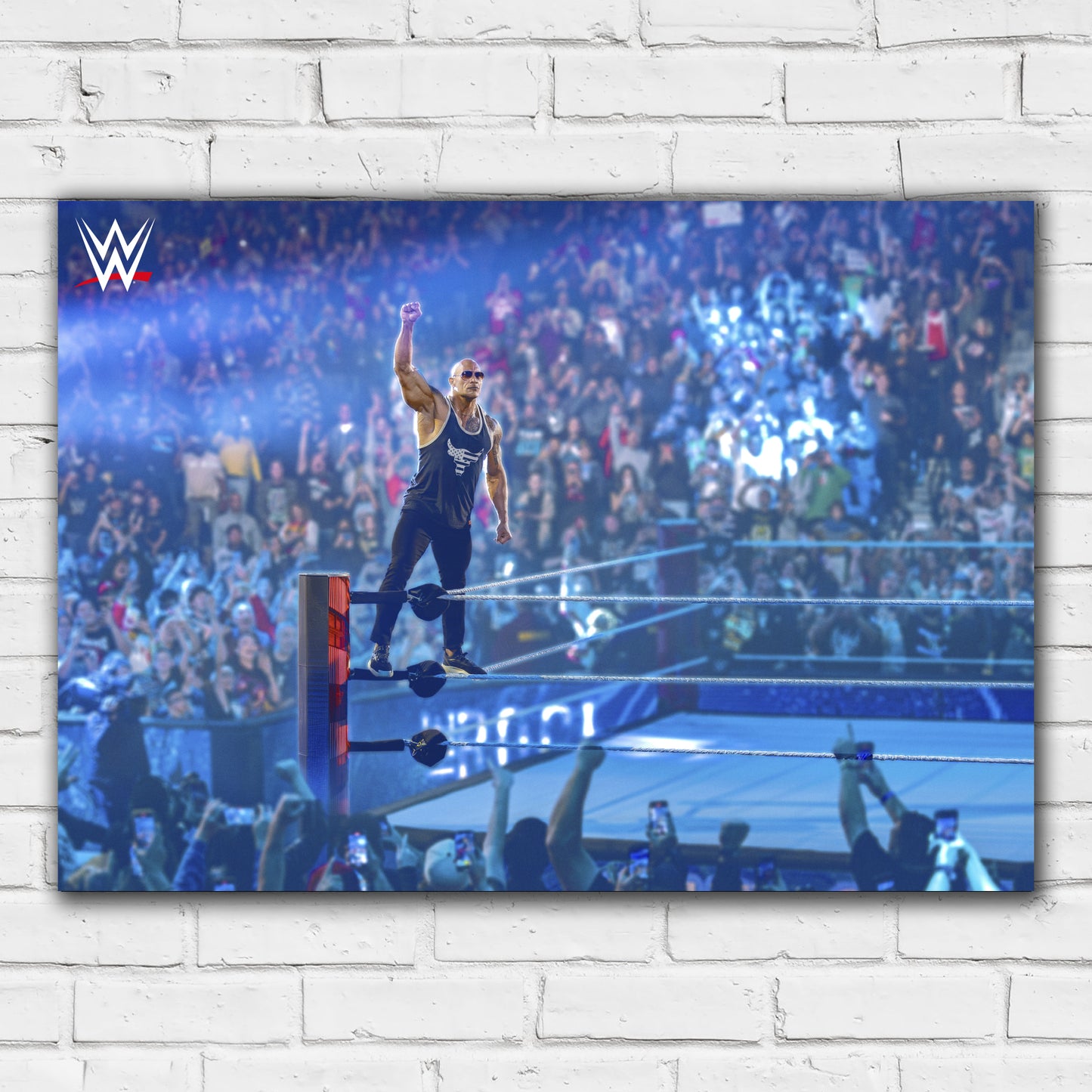 WWE Print - The Rock Stood on Ring Ropes Poster Wrestling Wall Art