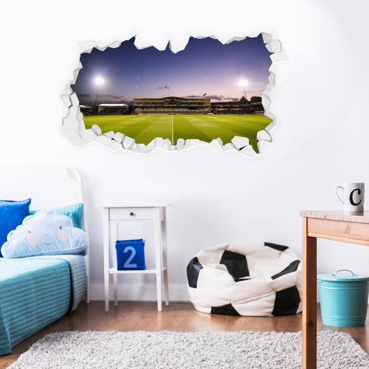 Bristol Rovers Stadium Wall Sticker
