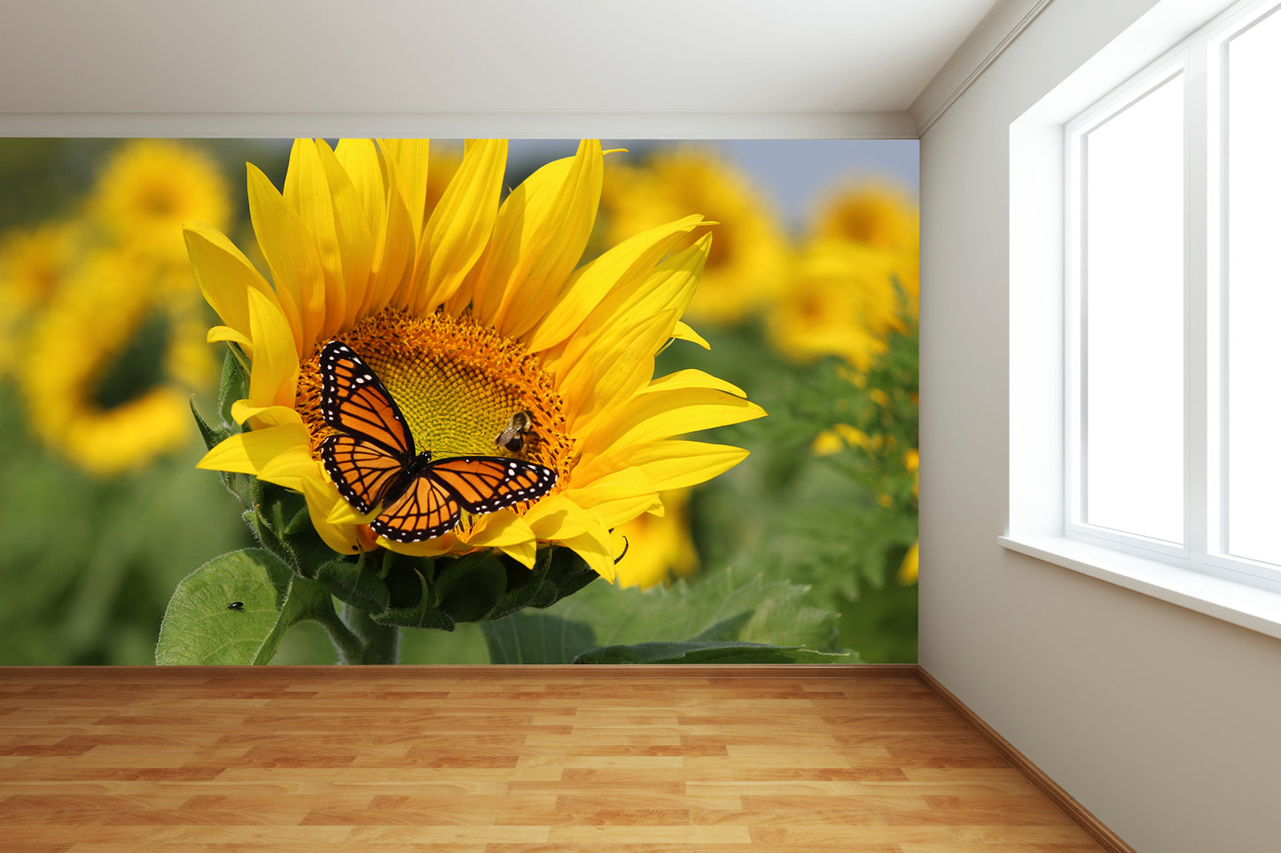 Butterfly & Bee on Sunflower Wall Mural