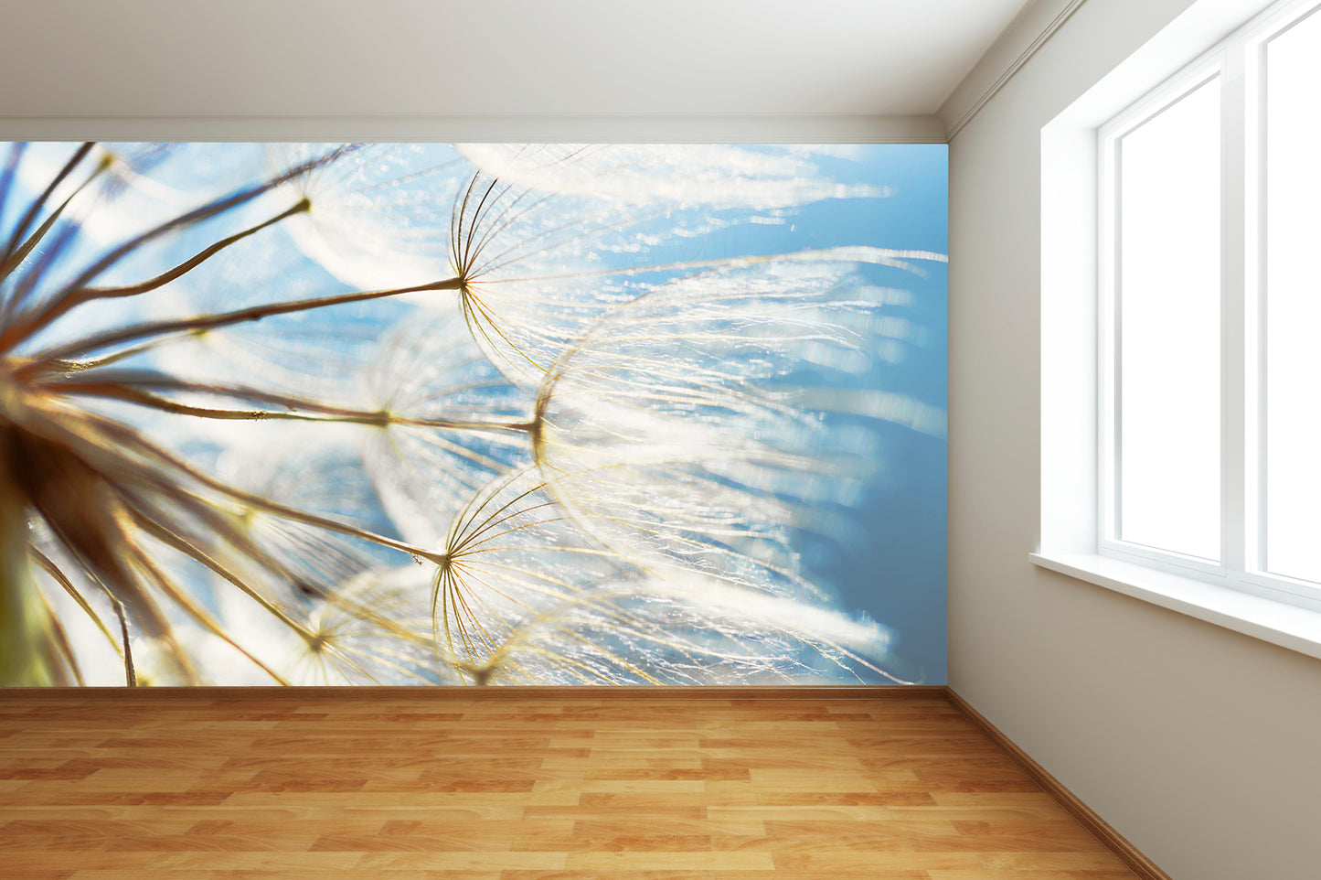 Dandelion Close Up Wall Mural