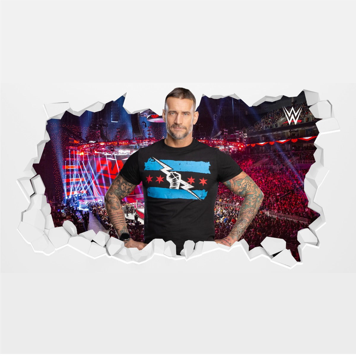 WWE - CM Punk Broken Wall Sticker