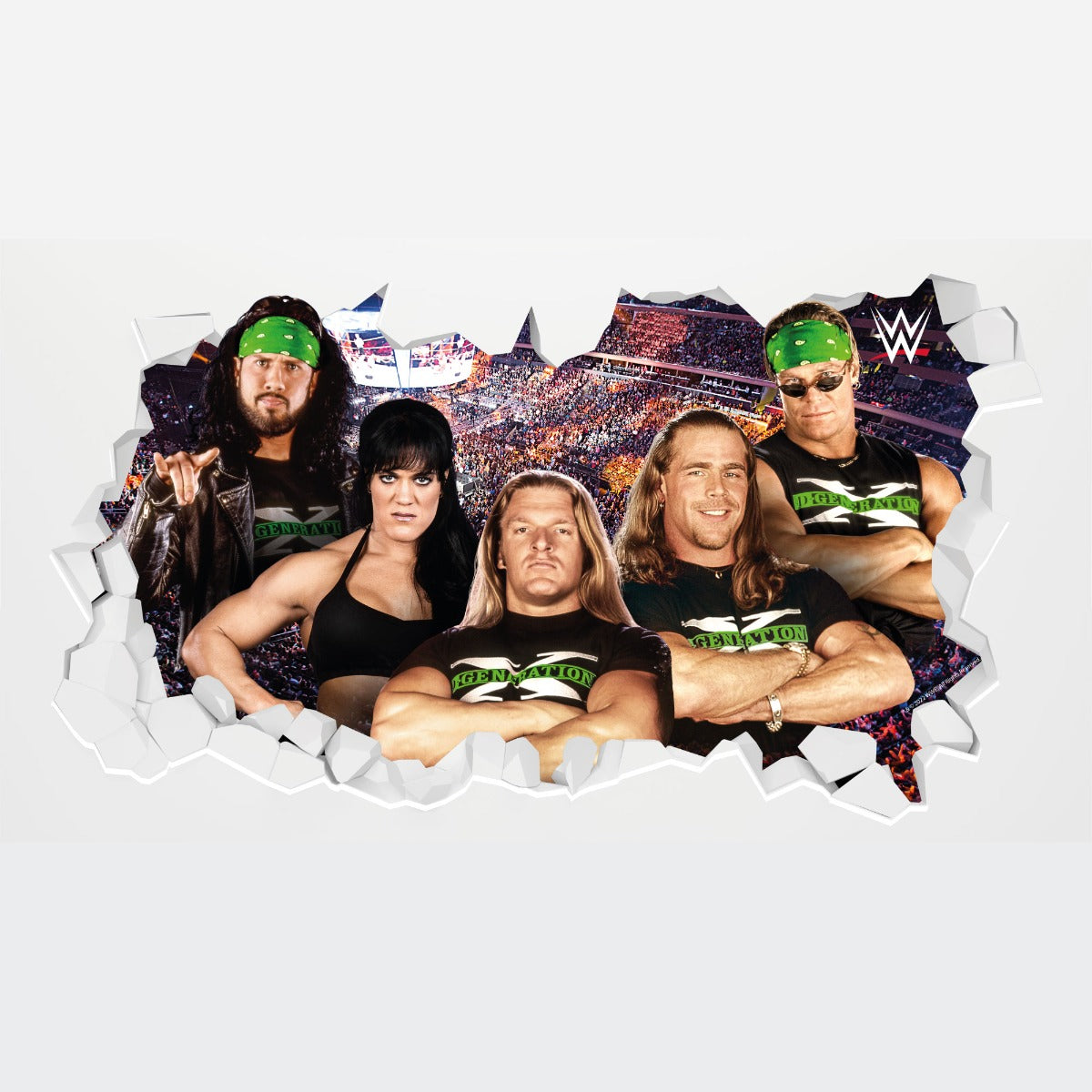 WWE - D-Generation X Broken Wall Sticker