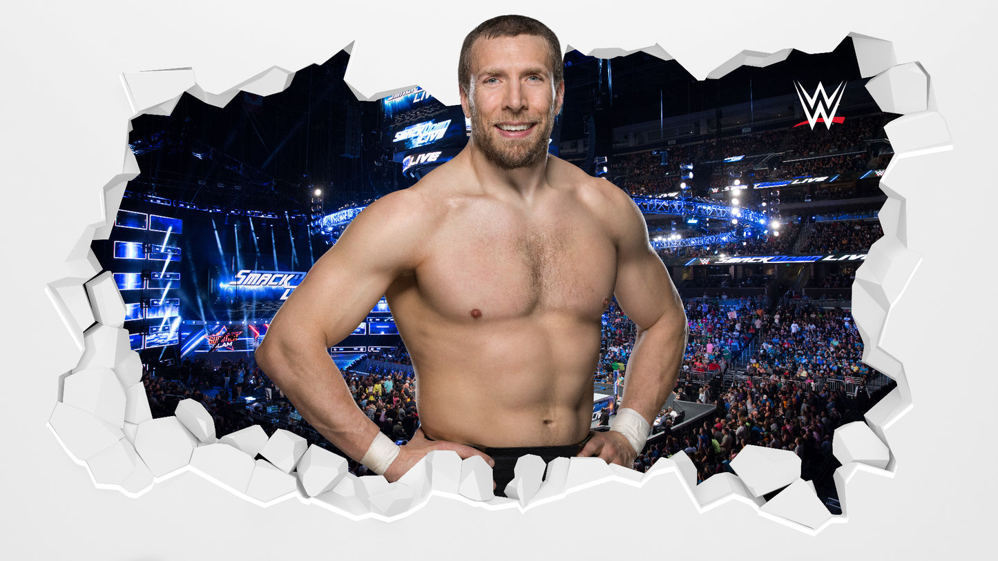 WWE - Daniel Bryan Broken Wall Sticker