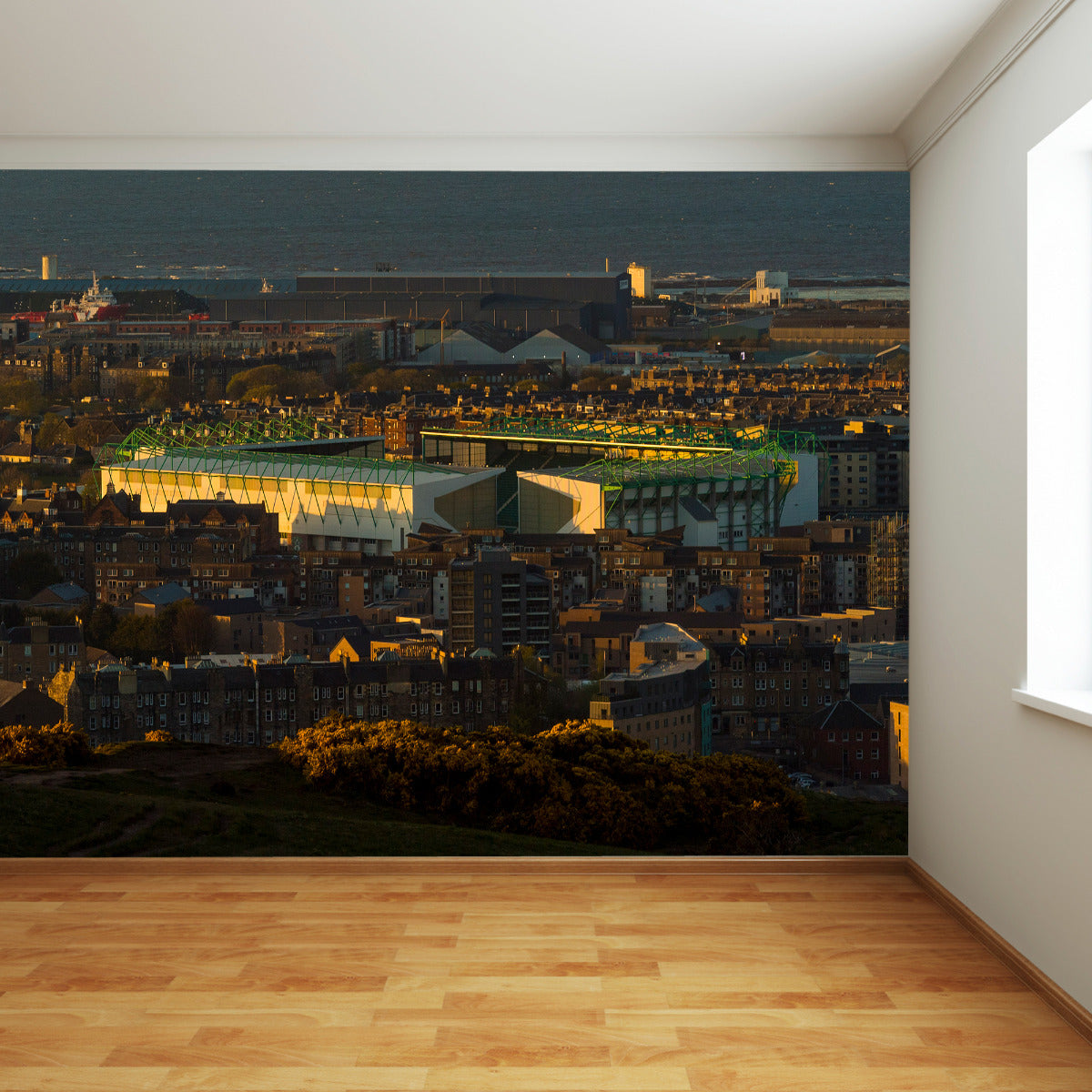Hibernian F.C. Easter Road Stadium Full Wall Mural