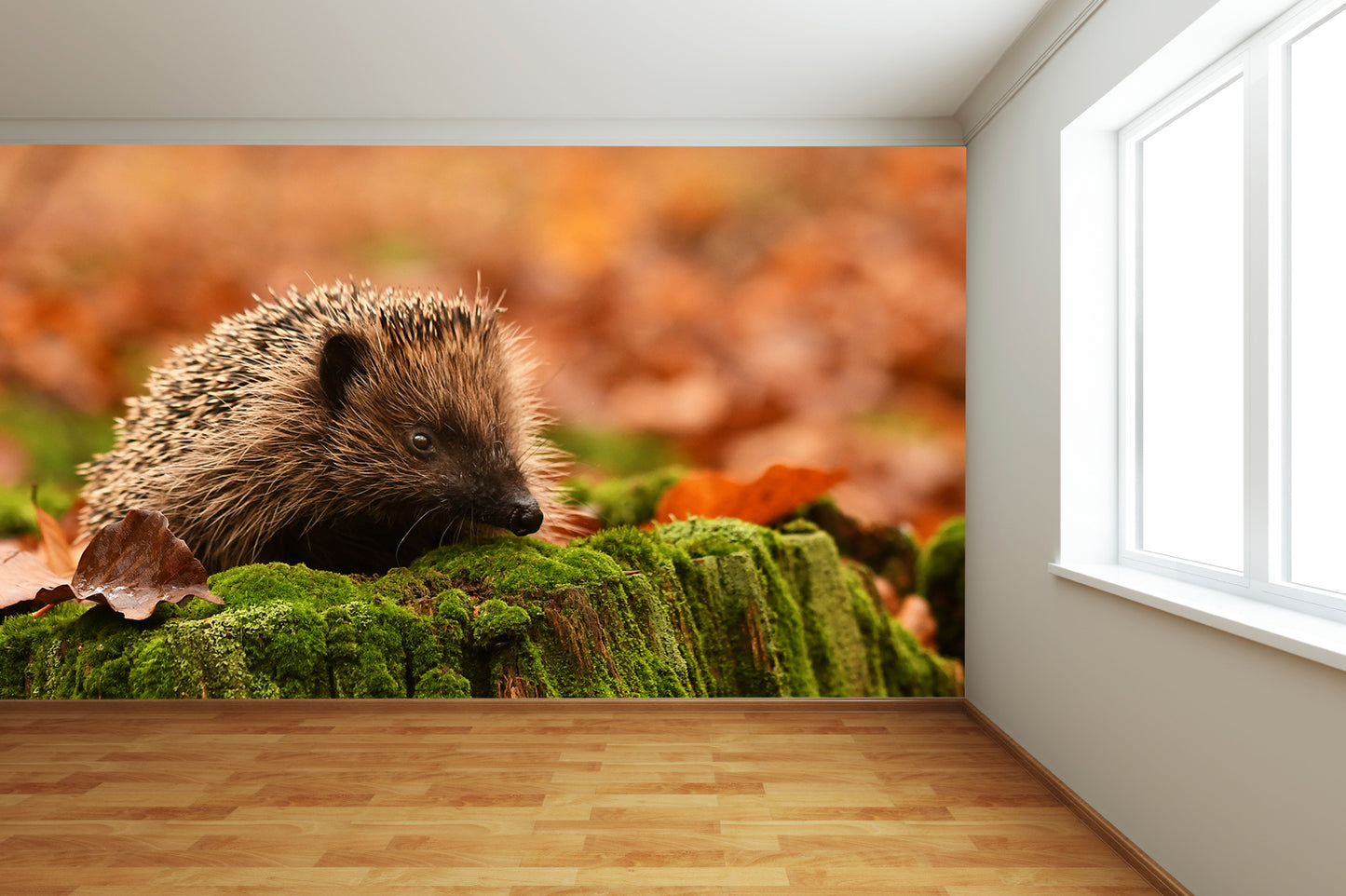 Autumn Hedgehog Wall Mural