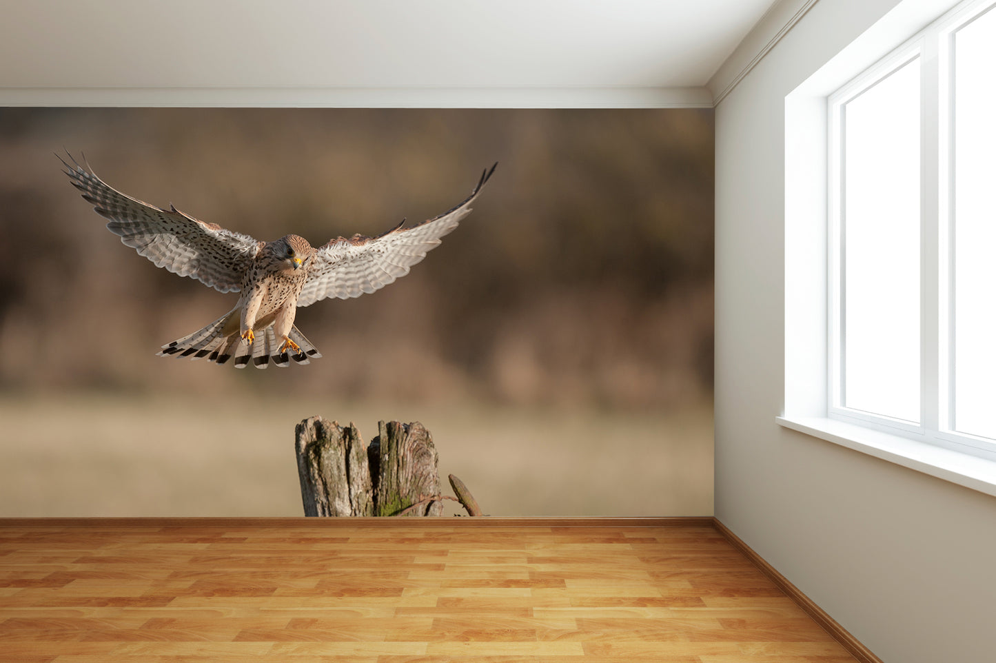 Kestrel Landing on Post Wall Mural