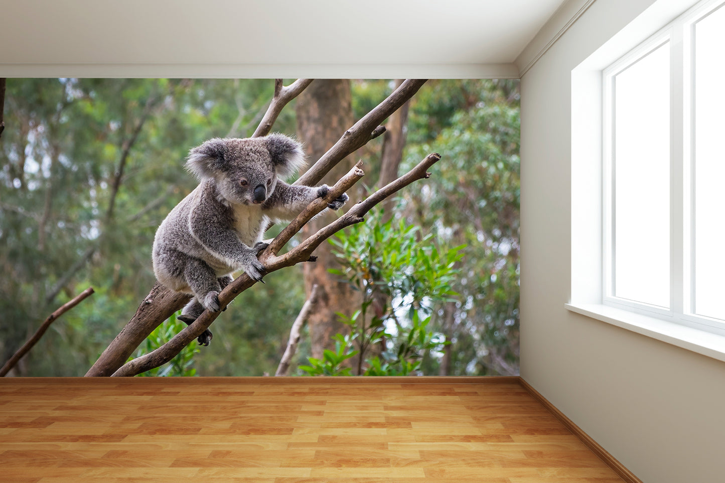 Koala Bear Climbing Wall Mural