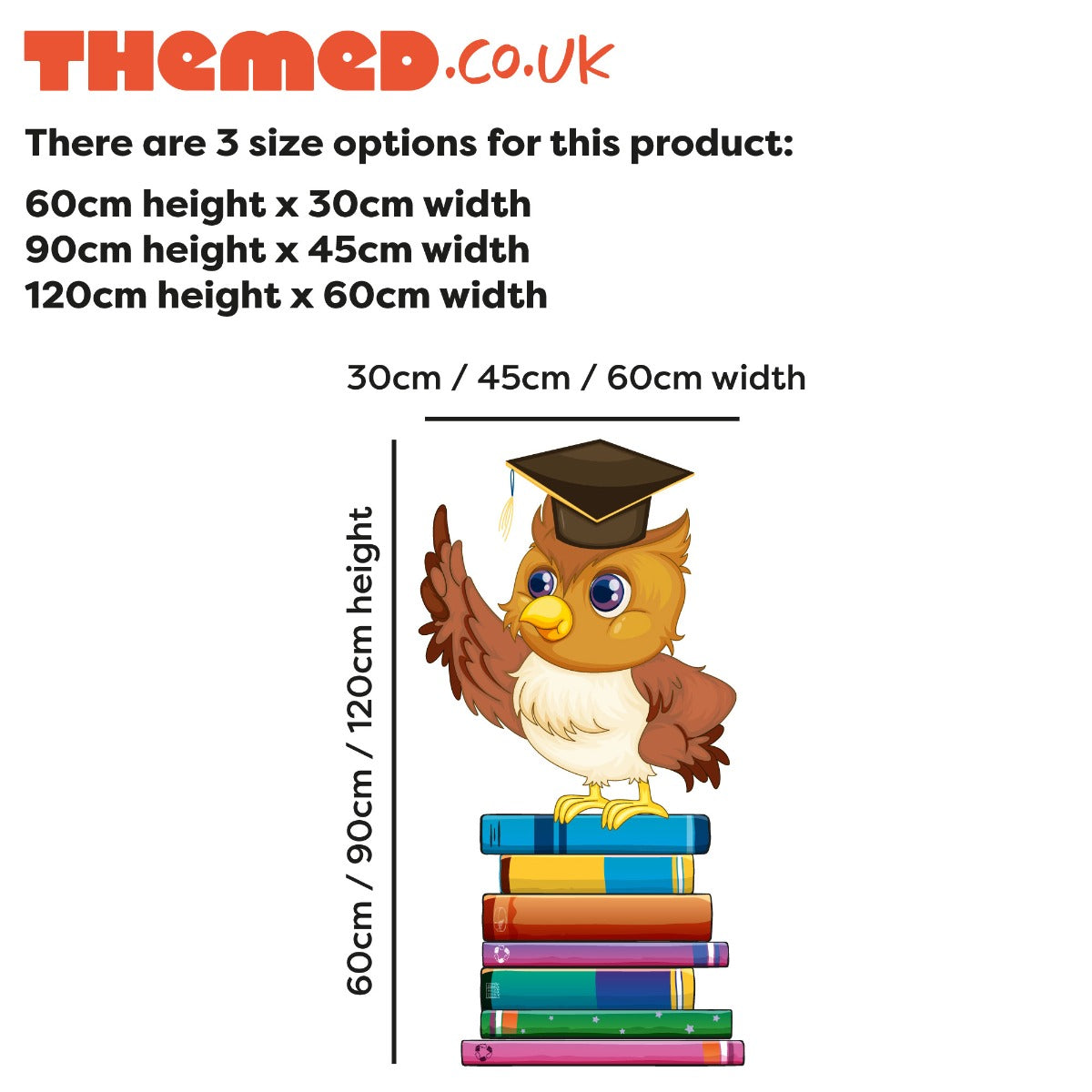 Owl on Stack of Books Kids Wall Sticker