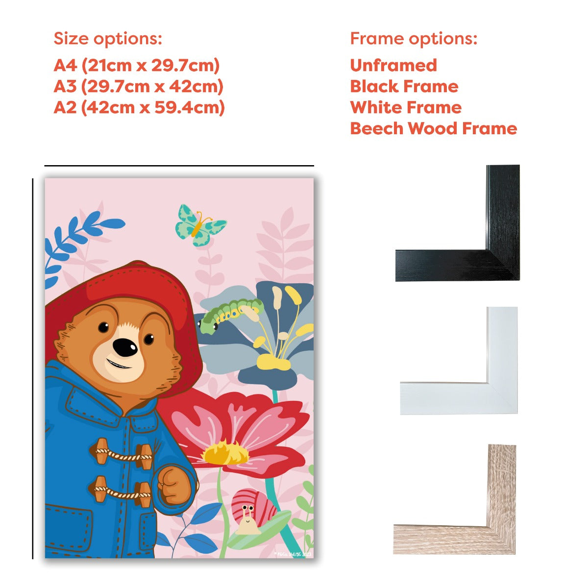 Paddington Bear TV Print - Pink Flowers Wall Art