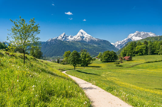 Alps from Walk Path Wall Mural