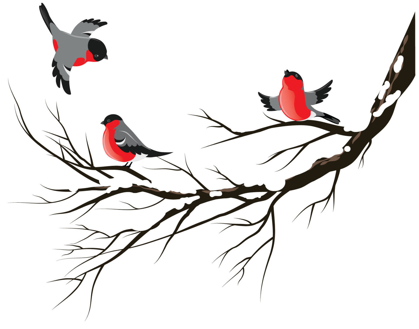 Robins On Snowy Branch Wall Sticker