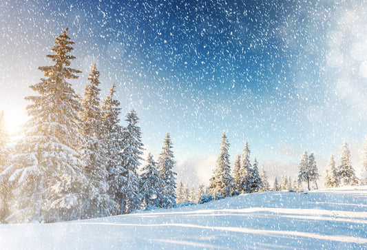 Snowy Forest Trees Wall Mural