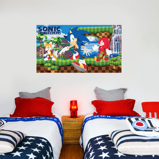 Sonic The Hedgehog Sonic Tails and Knuckles Wall Mural SONIC11