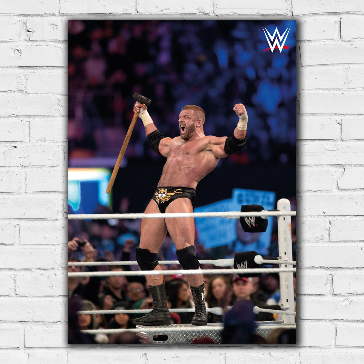 WWE Print - Triple H in Ring Poster