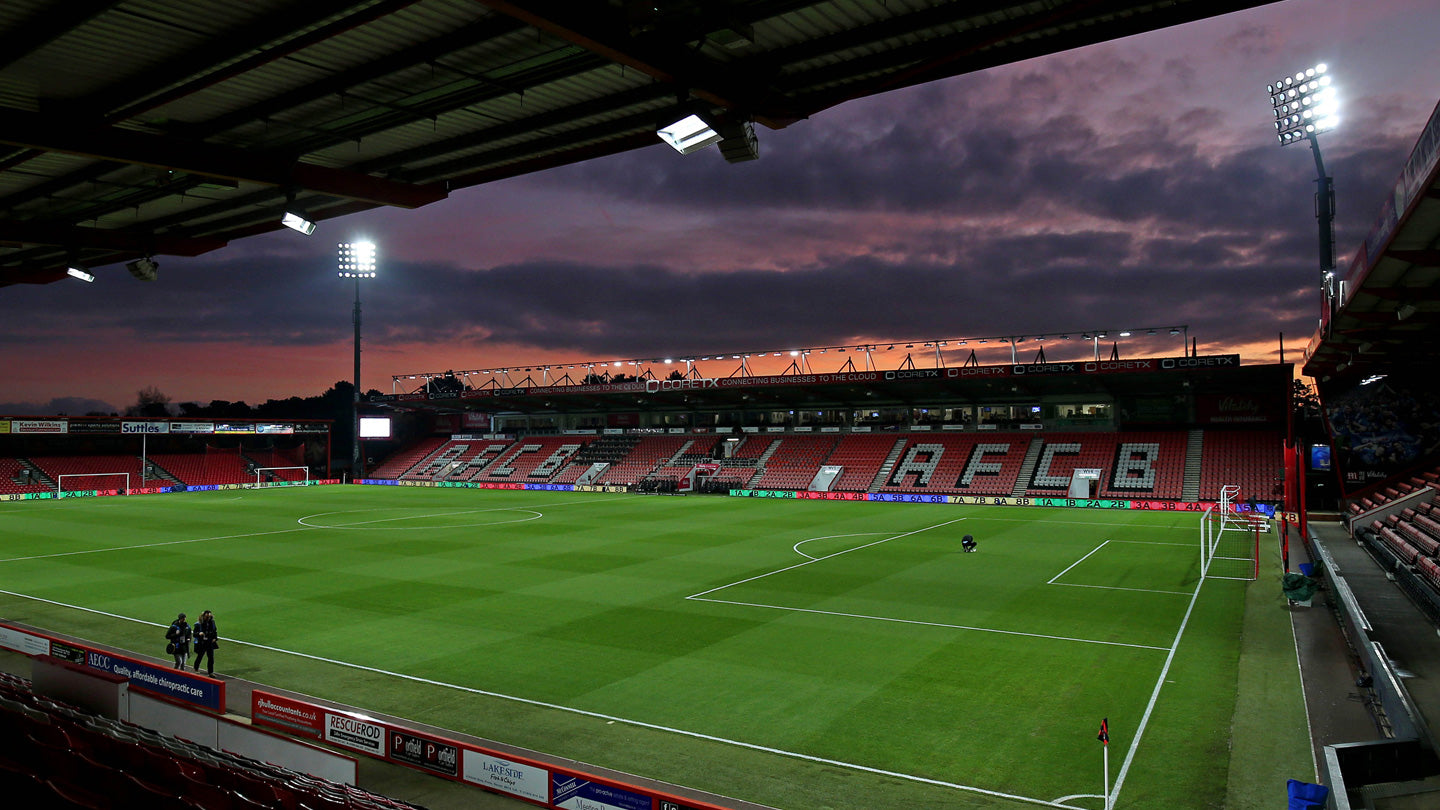 AFC Bournemouth - Vitality Stadium Full Wall Mural
