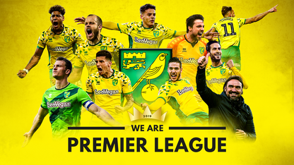 Norwich City FC - Official Ltd Edition We Are Premier League Wall Decal