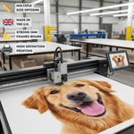 Custom Pet Head – Foam Core Cutout