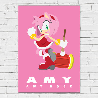 Sonic The Hedgehog Print - Amy Colour Block Poster Wall Art
