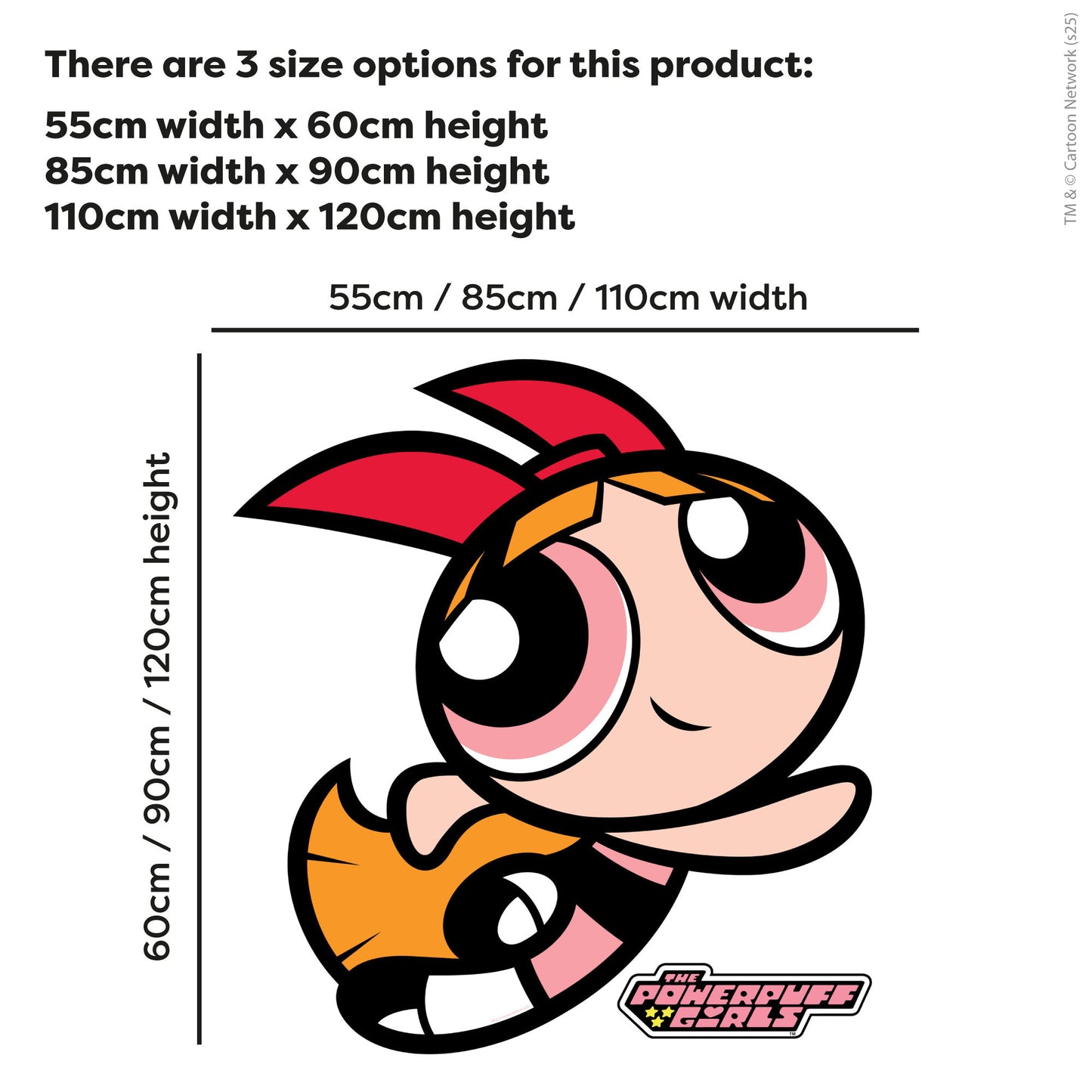 Powerpuff Girls Wall Sticker  –  Blossom Border Decal Superhero Wall Art