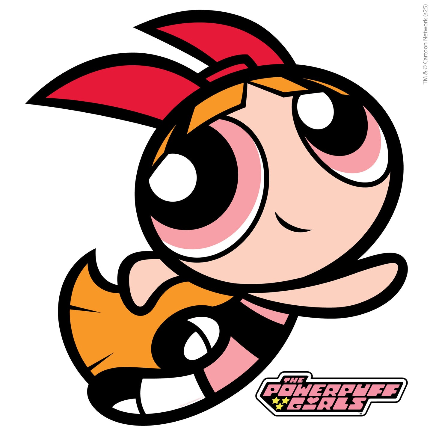 Powerpuff Girls Wall Sticker  –  Blossom Border Decal Superhero Wall Art