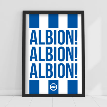 Brighton and Hove Albion FC Print - Albion Albion Albion Poster