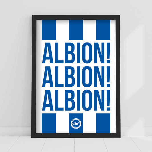 Brighton and Hove Albion FC Print - Albion Albion Albion Poster